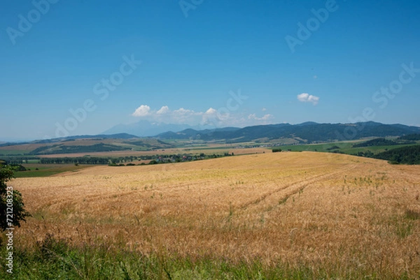 Obraz Góralskie lato