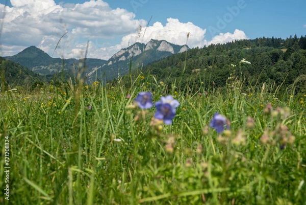 Obraz Trzy korony Pieniny