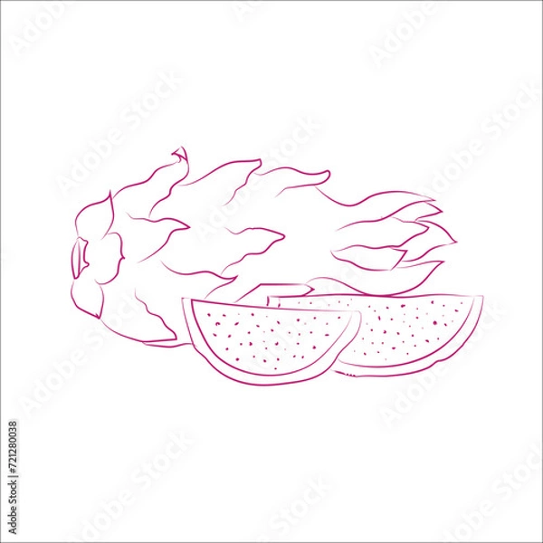 Obraz Dragon fruit in doodle style.