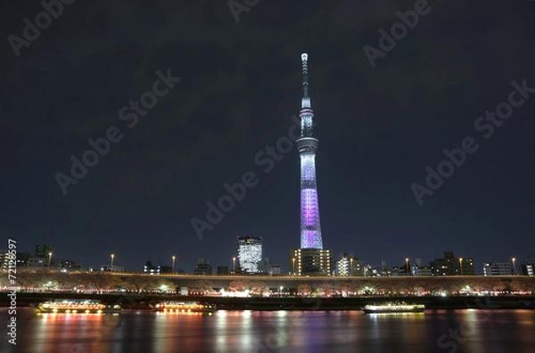 Obraz 隅田川の夜桜