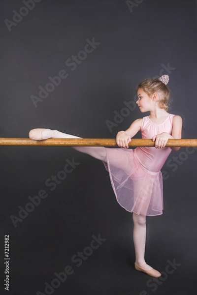 Obraz Tiny Ballerina