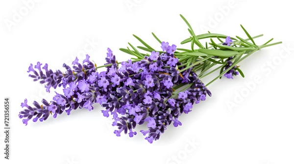 Fototapeta Fragrant lavender on white isolated background