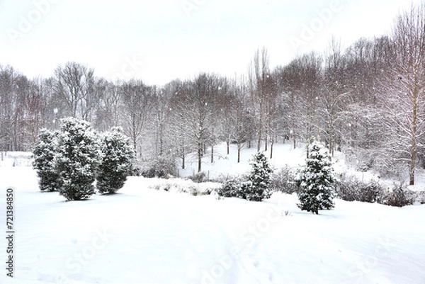 Fototapeta Suburban snowscape in January 2024