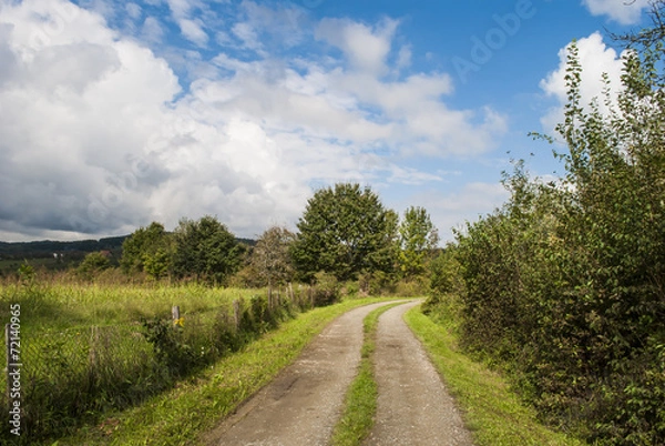 Fototapeta Dirt road