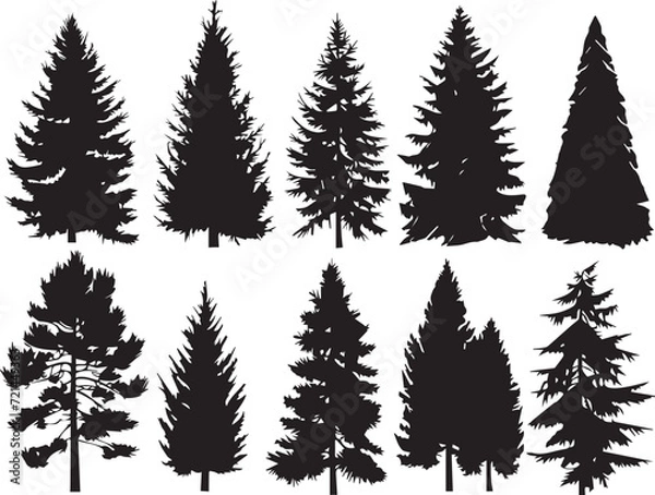 Fototapeta Set Trees. Hand drawn vector illustration