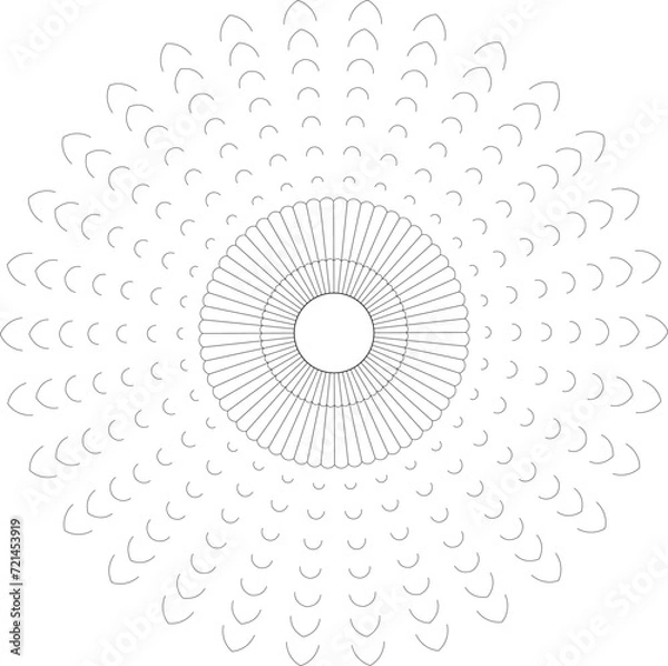 Obraz Vector Mandala Coloring Pages & Books