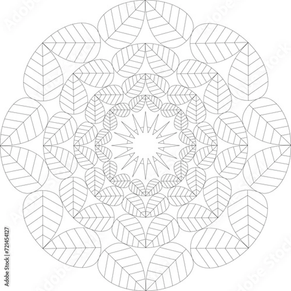 Obraz Vector Mandala Coloring Pages & Books