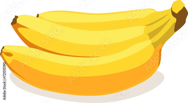 Fototapeta Bunch of yellow bananas. Banana isolated on white background. Vector illustration.