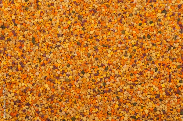 Obraz honey pollen background