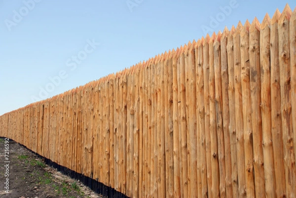 Obraz Wooden paling