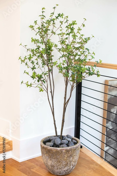 Obraz Green artificial tree decor 