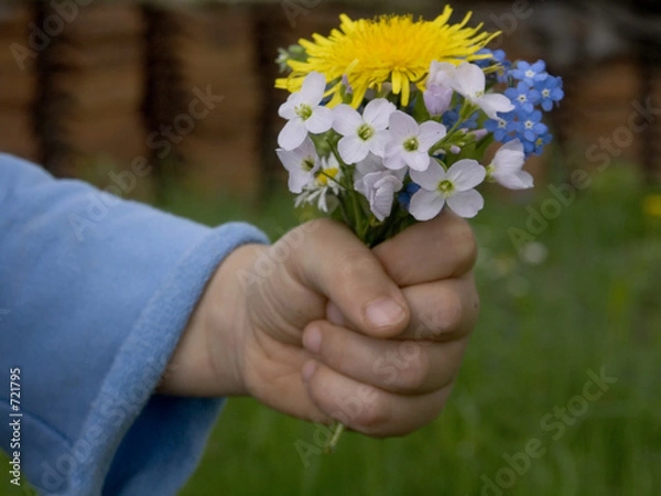 Fototapeta "schenk ich dir!"