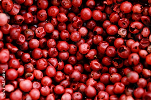 Obraz Różowy pieprz