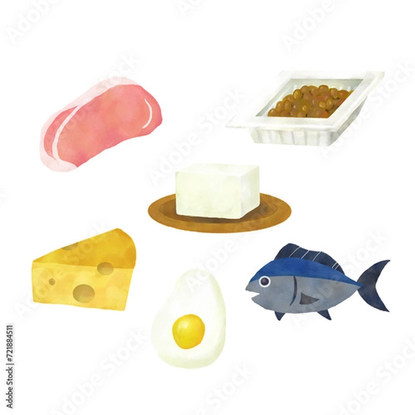 Obraz 五大栄養素 たんぱく質