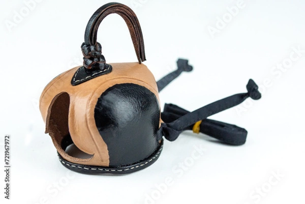 Obraz Falconry, hood, birding, hat, leather