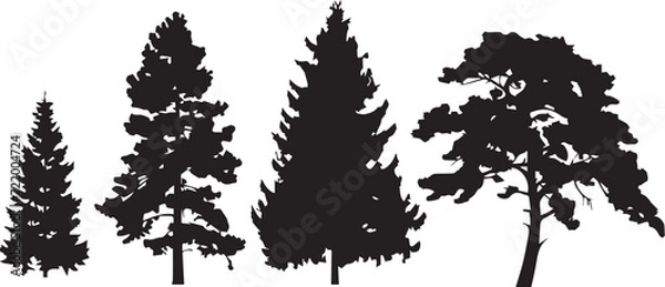 Fototapeta Set Trees. Hand drawn vector illustration	