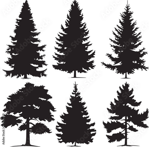 Fototapeta Set Trees. Hand drawn vector illustration	