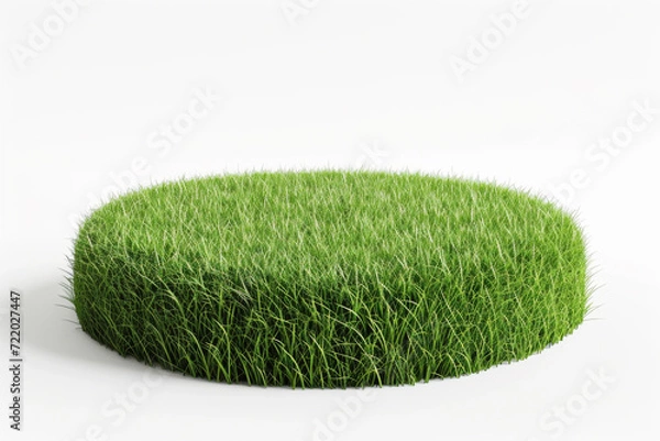 Obraz Small round surface covered with grass.