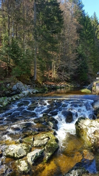 Fototapeta bavarian forest lake water