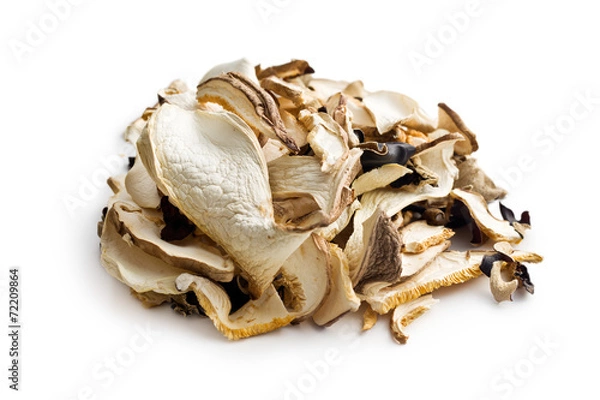 Obraz dried mushrooms