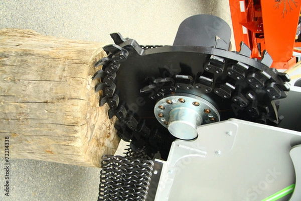 Obraz Machine for examination stumps