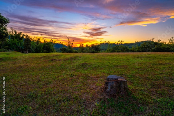 Fototapeta Twilight sunset over the mountain. overcast clouds in the sky , glowing in sunlight, grass field with tree stump in foreground. Landscape nature view scene. 