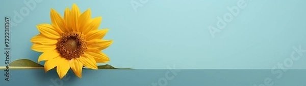 Fototapeta A minimalistic composition of a single vibrant sunflower against a clean backdrop, leaving room for text or graphics.