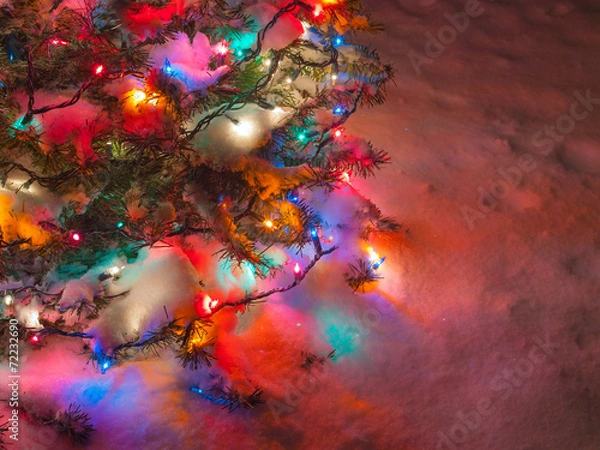 Fototapeta Snow Covered Christmas Tree with Multi Colored Lights