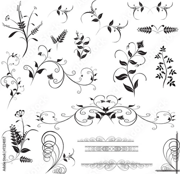 Obraz Floral design elements