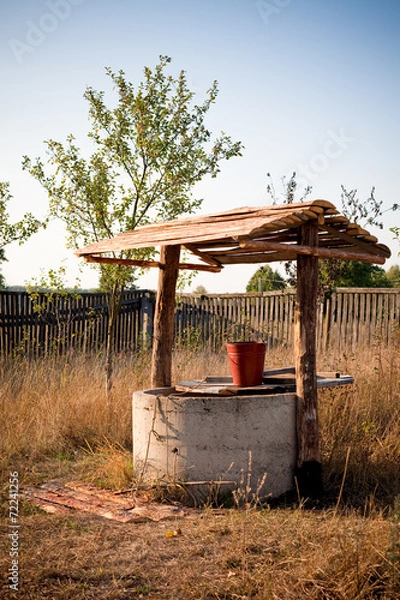 Obraz Well in country