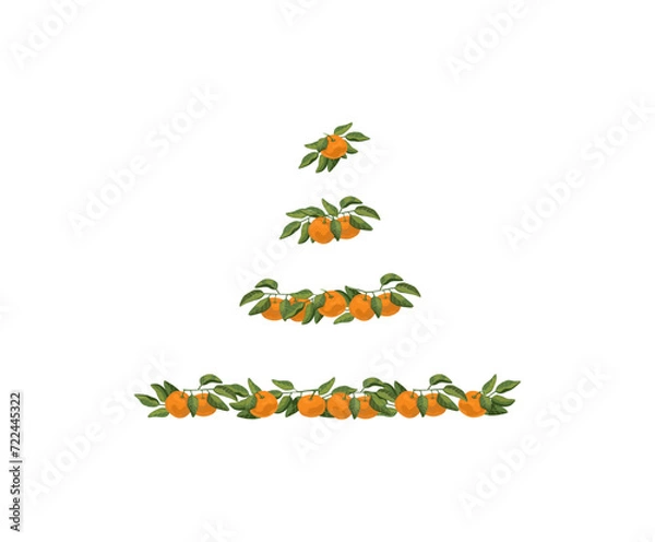 Fototapeta Compositions with mandarins and leafs for decor pages