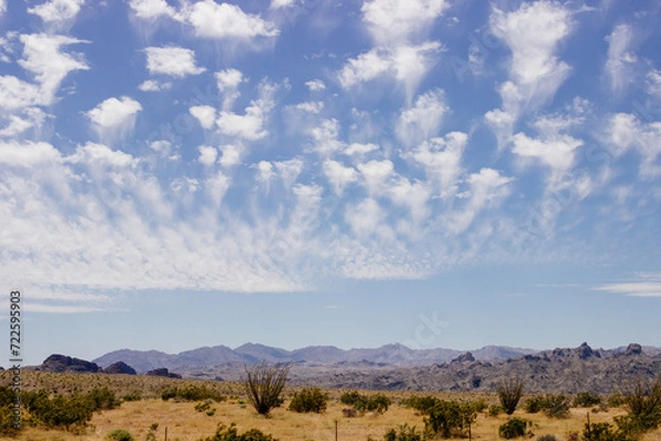 Fototapeta Beautiful blue sky with fluffy clouds over a desert with mountains in Arizona, USA. Panorama with high hills. Landscape on a sunny day