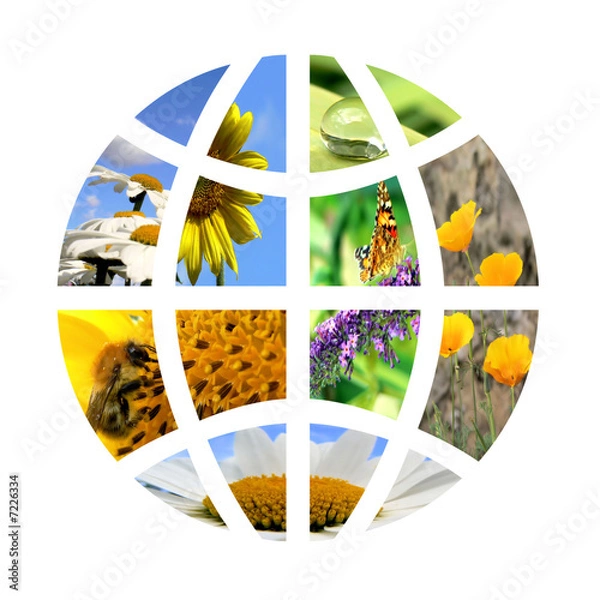 Obraz Globe terrestre 2