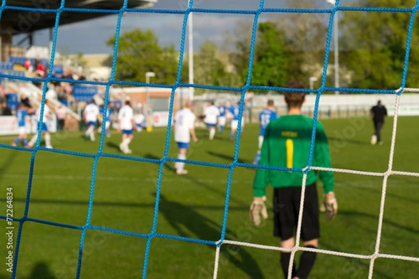 Obraz view from behind the goal.