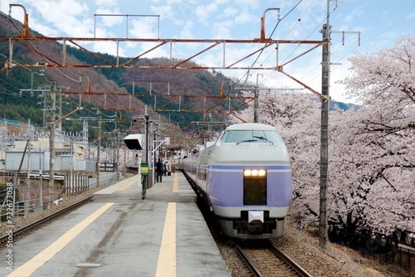 Obraz A fast train passing by the platform of a local station with sakura cherry blossoms lining up along the railway ~ Spring scenery of sakura and railroad at  Katsunuma Station in Yamanashi Japan