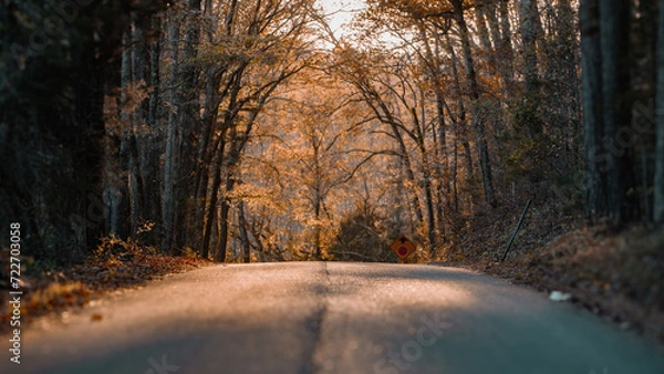 Fototapeta First Attempt