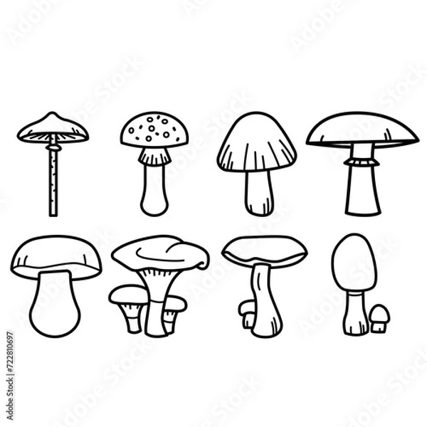 Fototapeta Mushroom vector icon set. fungus illustration sign collection. food symbol.