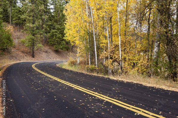 Fototapeta Country road in Autumn.