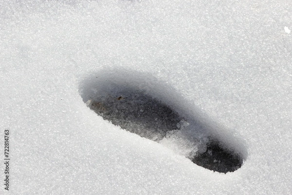 Obraz 雪降りの足跡