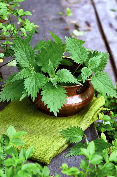 Fototapeta Fresh nettles in a copper pot, green cloth, collection of medicinal plants, alternative medicine, old garden