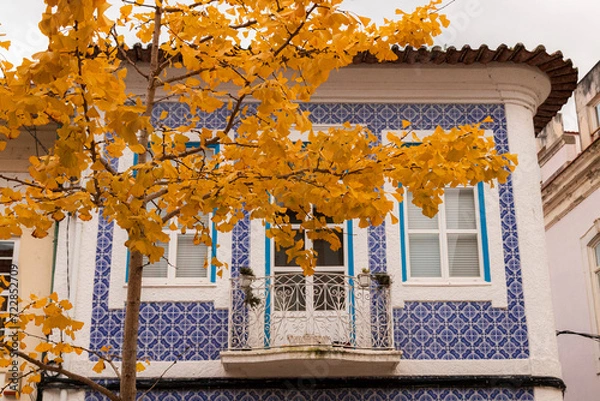 Obraz house in autumn