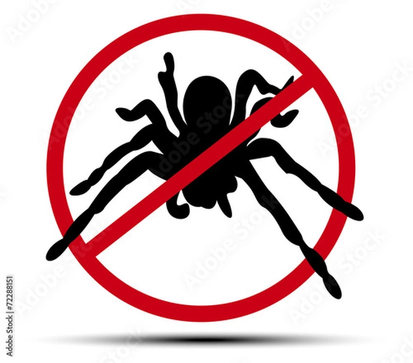 Obraz No spider sign