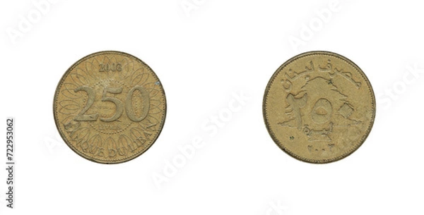 Fototapeta 250 Livres coin from Liban 2003, obverse and reverse.