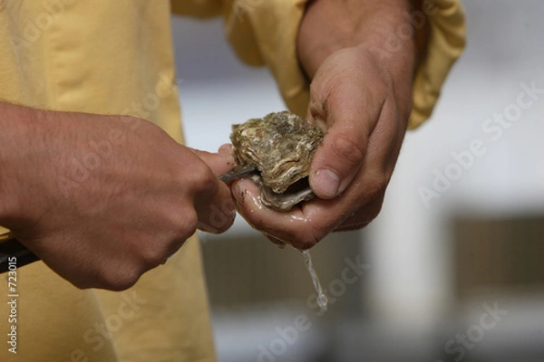 Fototapeta comment ouvrir une huitre ?