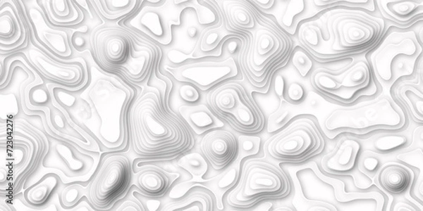 Fototapeta  Abstract white pattern topography vector background. white topography contour lines map isolated on white background. The stylized height of the topographic map