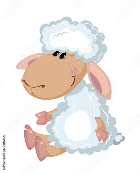 Fototapeta sheep sits