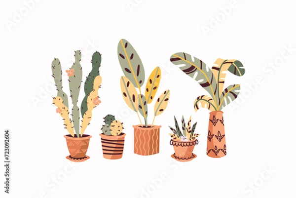 Obraz Vector set of house plants in pots. Cartoon hand drawn illustration style. Fun colors and ornaments. Set of isolated elements for the design of advertising banners, books, postcards.