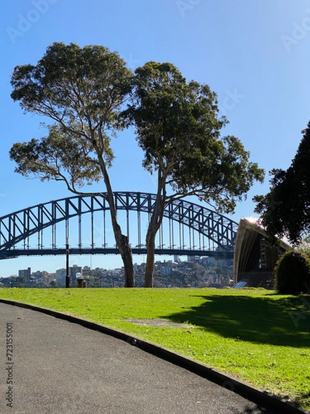 Fototapeta Structure of an arch bridge and a big tree in the park, Australia. Part of Sydney harbour bridge and Opera House from a park.