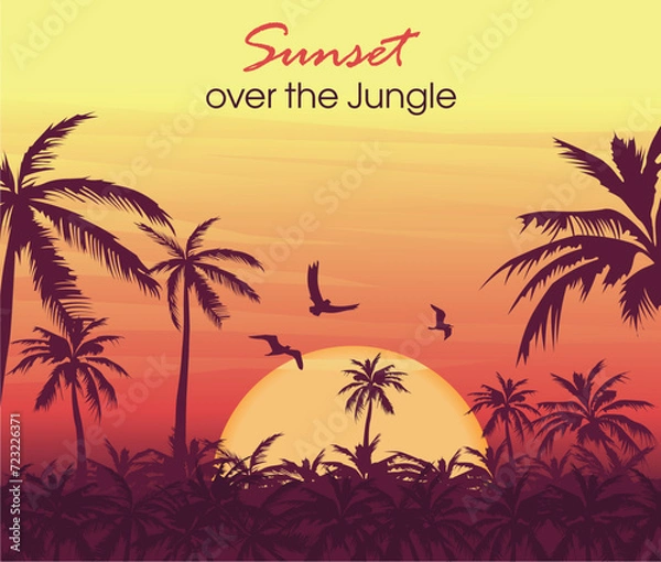 Obraz sunset over the jungle