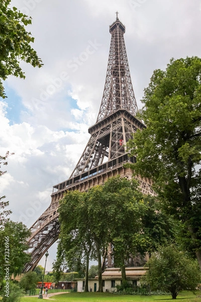 Fototapeta Eiffel Tower view from the garden